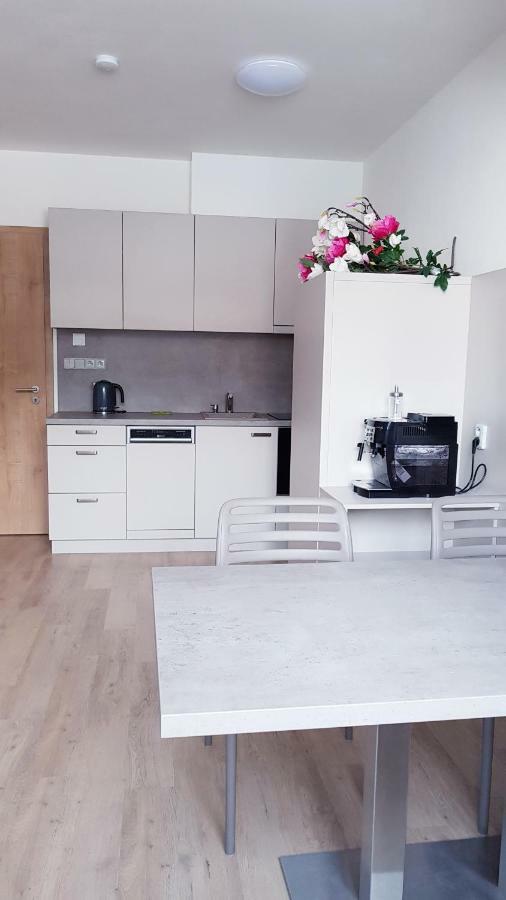 Apartmány Dolní Morava Exterior foto